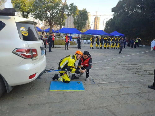 濱江區森林火災撲救演練與競賽圓滿落幕，三聯公益救援服務中心協辦助力